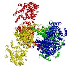 Image of CATH 4kq2