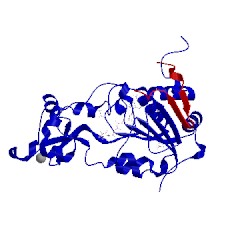 Image of CATH 4kxq