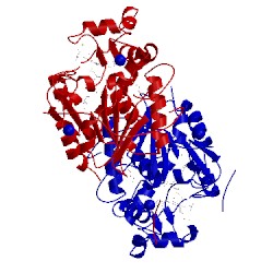 Image of CATH 4kyv