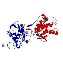 Image of CATH 4l19