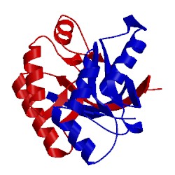 Image of CATH 4l1c