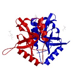 Image of CATH 4l1p