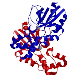 Image of CATH 4l57