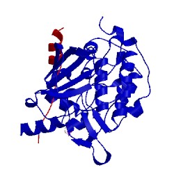 Image of CATH 4l67