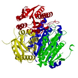 Image of CATH 4laf