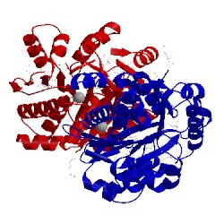 Image of CATH 4lc4