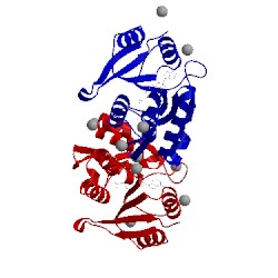 Image of CATH 4lec