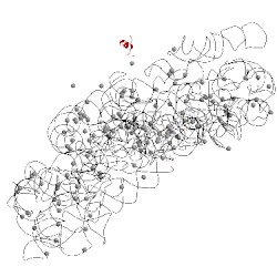 Image of CATH 4lf5