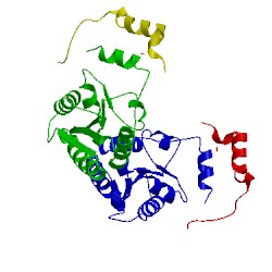 Image of CATH 4lfk