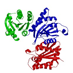 Image of CATH 4lhb