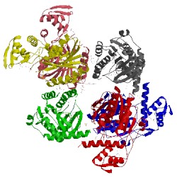 Image of CATH 4lk3