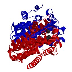 Image of CATH 4llt