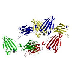 Image of CATH 4lmf