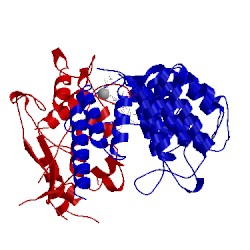 Image of CATH 4lnb