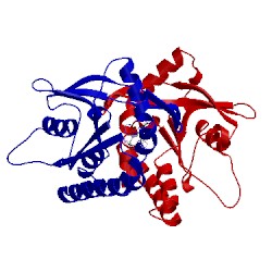 Image of CATH 4loj