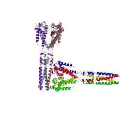 Image of CATH 4ltq