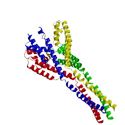 Image of CATH 4ltr