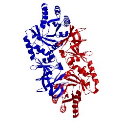 Image of CATH 4lut