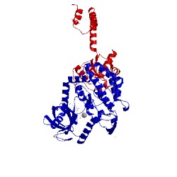 Image of CATH 4lv8