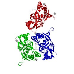 Image of CATH 4lz7