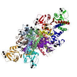 Image of CATH 4m17