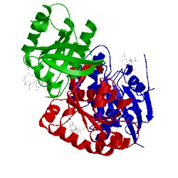 Image of CATH 4m1s