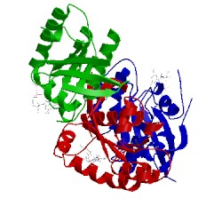 Image of CATH 4m21