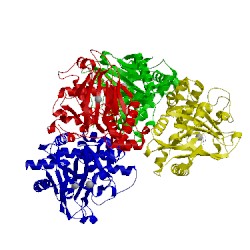 Image of CATH 4m26