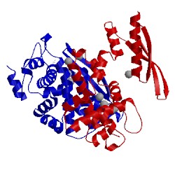 Image of CATH 4m30