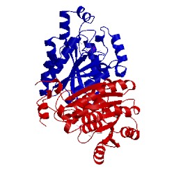 Image of CATH 4m87