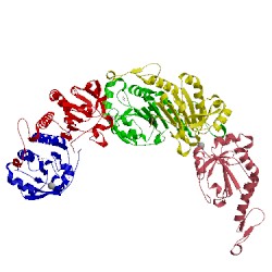 Image of CATH 4mab