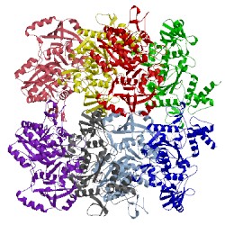 Image of CATH 4maf