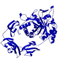 Image of CATH 4mb4