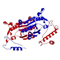 Image of CATH 4mcc