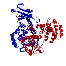 Image of CATH 4mdz