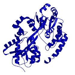 Image of CATH 4mfi