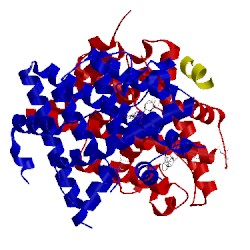 Image of CATH 4mg6