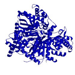 Image of CATH 4mho