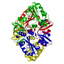 Image of CATH 4ml1