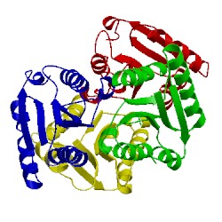 Image of CATH 4ml3