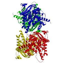 Image of CATH 4mlp