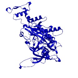 Image of CATH 4mof