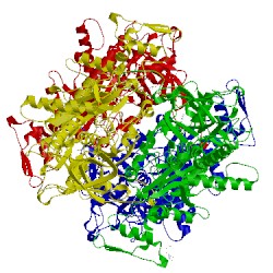 Image of CATH 4mol