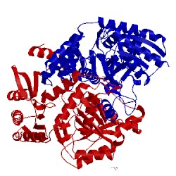 Image of CATH 4mqr