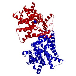 Image of CATH 4ms0