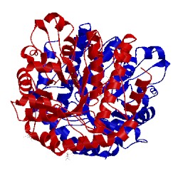 Image of CATH 4mss