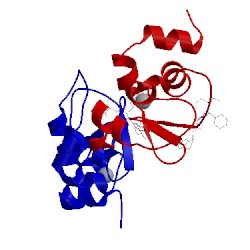 Image of CATH 4mti