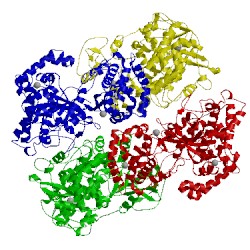 Image of CATH 4mtp