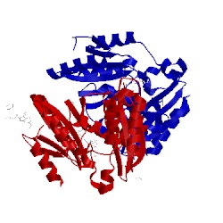 Image of CATH 4muj