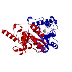 Image of CATH 4mut